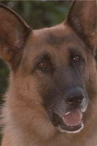 Mac