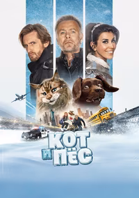 Кот и пёс
