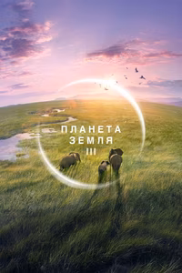BBC: Планета Земля III