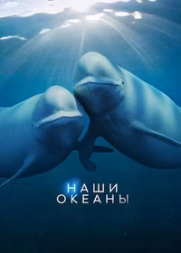 Наши океаны