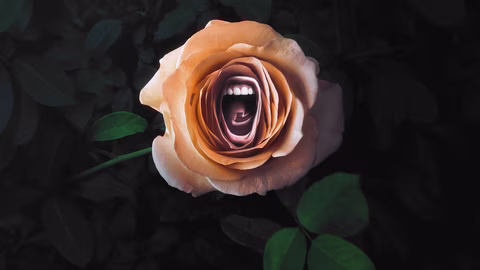 Серия 1