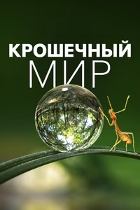 Крошечный мир