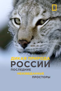 Дикая природа России