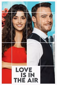 Love Is in the Air